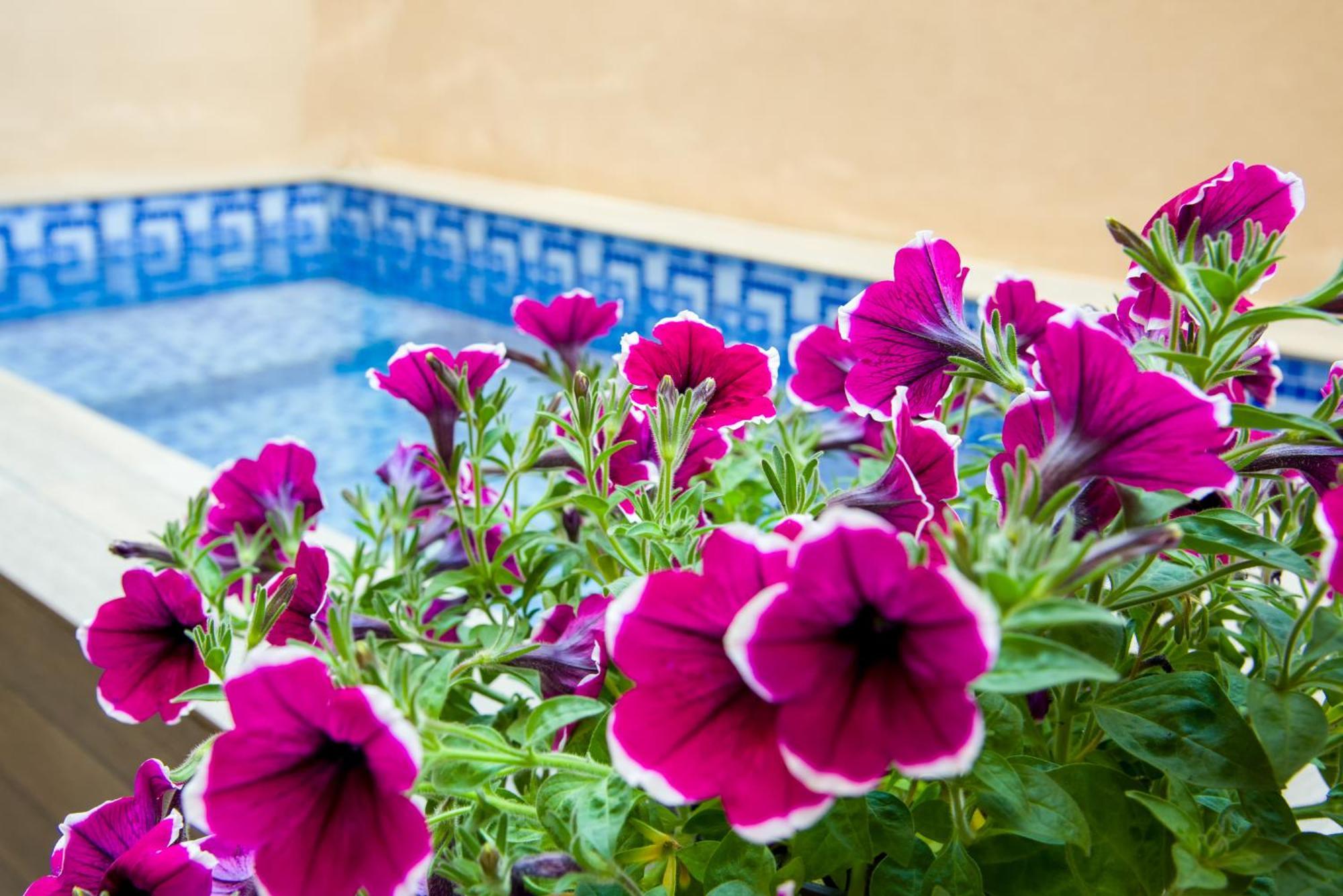 Apartamento Aretousa